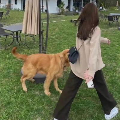 贵妃生存法则第二季