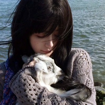 海关战线